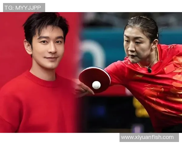 陈梦与黄晓明携手共创新篇章引领娱乐与体育的跨界合作新风潮