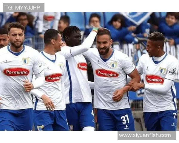 足球比赛直播法马利康精彩瞬间回顾与分析全方位解读赛事亮点与球员表现