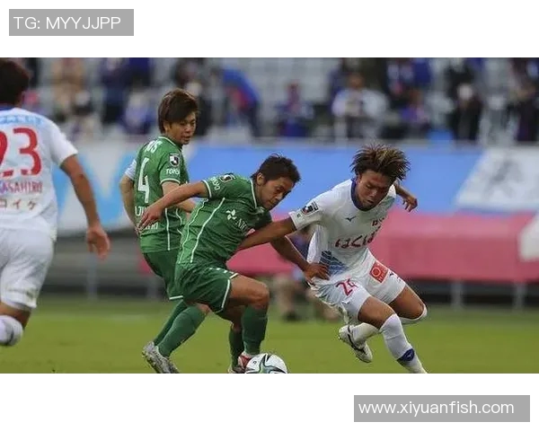 长崎航海与广岛直播精彩对决全景解析与赛事回顾