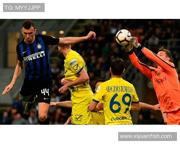 2017年国际米兰对阵切沃的精彩对决回顾与分析