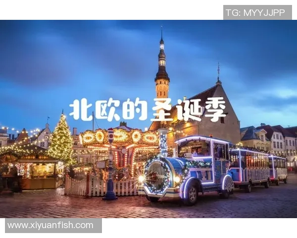 2017年芬兰与爱沙尼亚足球对决精彩回顾与分析