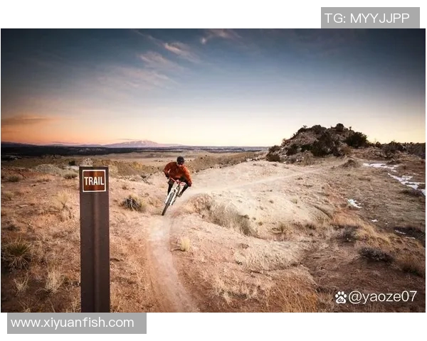 一百米世界纪录的传奇与挑战:追寻速度的极限与未来的可能性