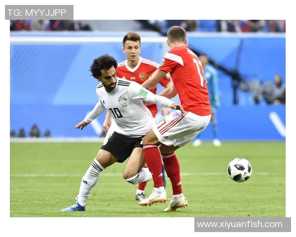 俄罗斯与埃及比赛裁判的公正性与争议分析 俄罗斯与埃及比赛裁判的公正性与争议分析