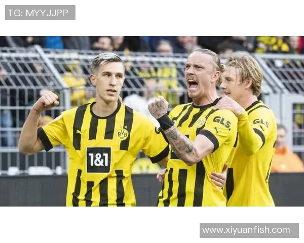 多特蒙德与弗赖堡对决前瞻分析及赛季表现对比