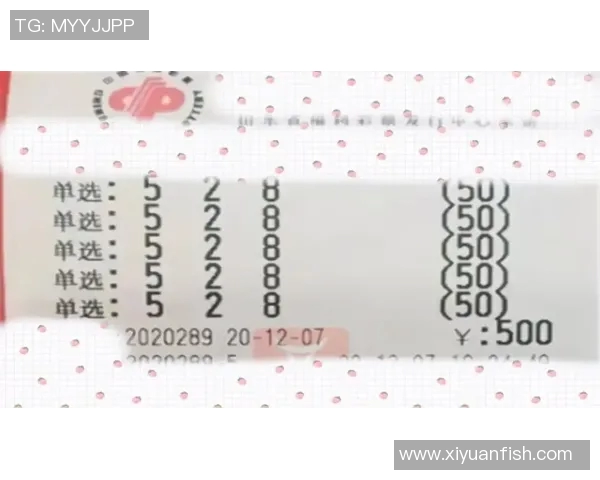 今天3D彩票开奖结果最新动态分析与中奖号码预测分享