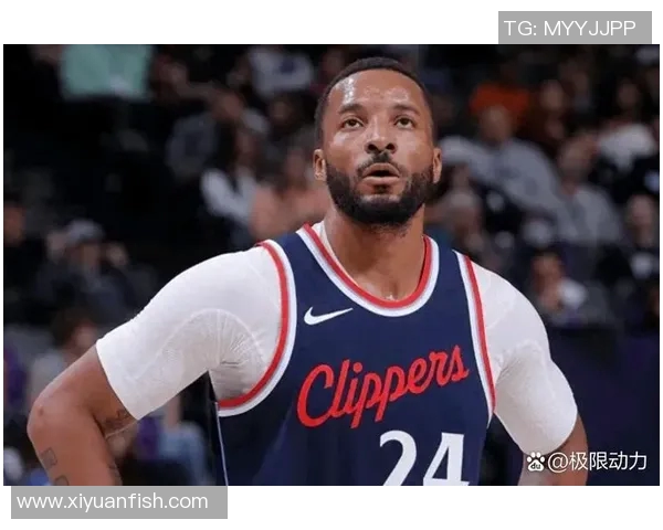 灰熊对快船精彩对决视频直播全程回顾与赛后分析