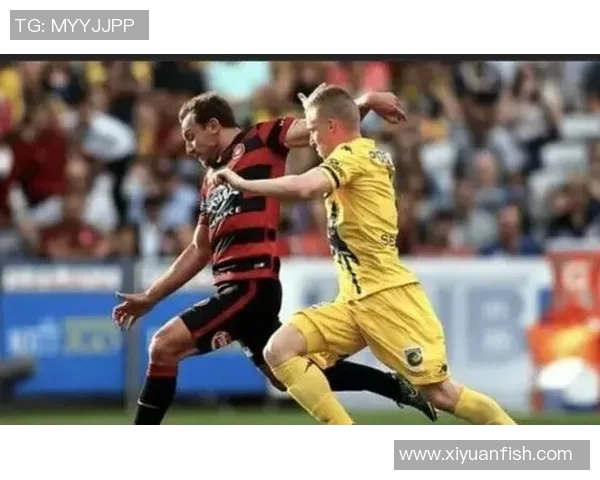 新城堡联迎战悉尼FC展现足球激情与实力对决