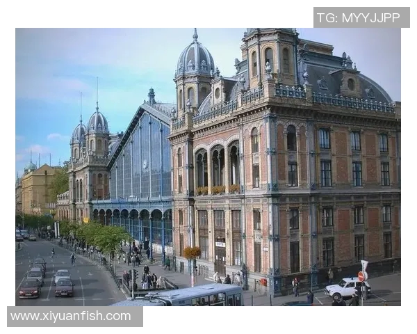 探索哈化柏林的魅力与历史深度,感受文化交融的独特氛围与艺术之旅 探索哈化柏林的魅力与历史深度,感受文化交融的独特氛围与艺术之旅