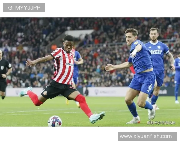 谢菲尔德联与女王公园巡游者精彩对决直播全程回顾与分析