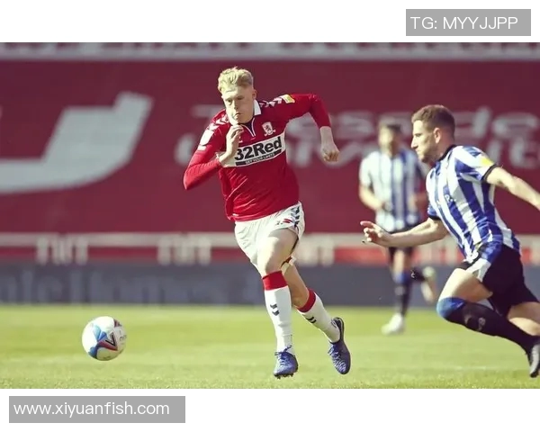 英冠联赛与中超联赛的对比分析与发展趋势探讨