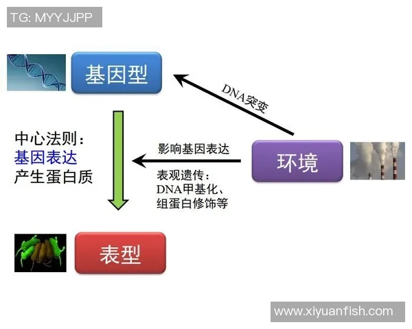 探索始祖鸟烯的神秘世界及其在生物学研究中的重要意义 探索始祖鸟烯的神秘世界及其在生物学研究中的重要意义