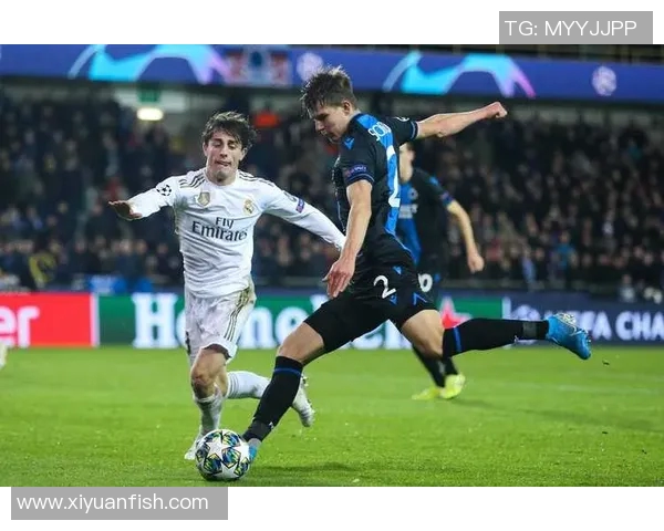 梅赫伦主场迎战布鲁日期待精彩对决双方争夺胜利的激烈较量 梅赫伦主场迎战布鲁日期待精彩对决双方争夺胜利的激烈较量