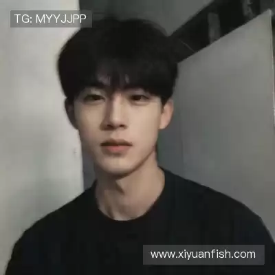 阮影隽