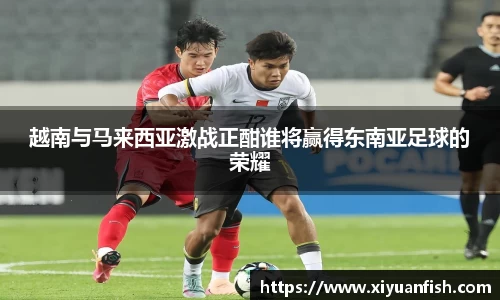 越南与马来西亚激战正酣谁将赢得东南亚足球的荣耀