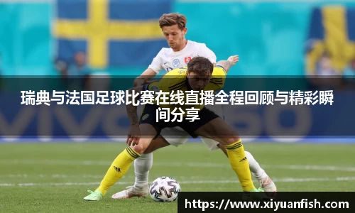 瑞典与法国足球比赛在线直播全程回顾与精彩瞬间分享