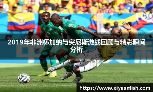 2019年非洲杯加纳与突尼斯激战回顾与精彩瞬间分析